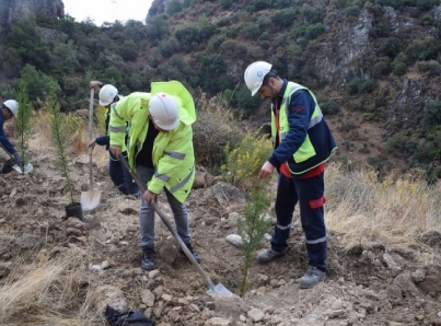 YK Enerji̇, son 3 yılda 1 mi̇lyonu aşkın fi̇danı toprakla buluşturdu