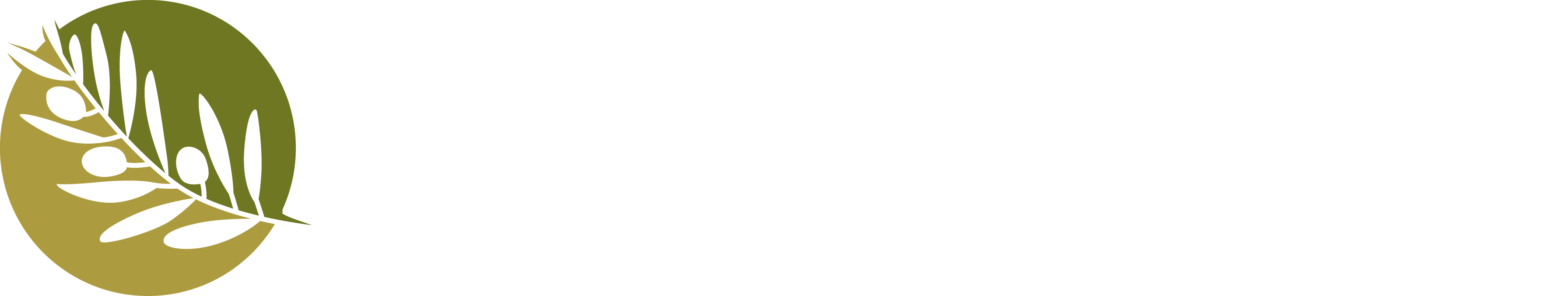 Alternate Text